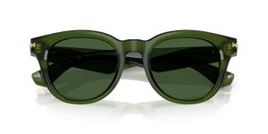 Green / Dark Green (414871)