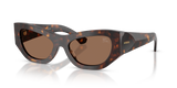 Dark Havana / Dark Brown (300273)