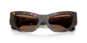Dark Havana / Dark Brown (300273)