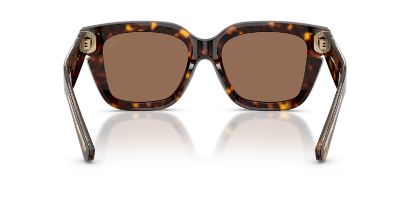 Burberry BE4453 in Dark Havana / Dark Brown (300273) - Alternate View