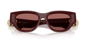 Bordeaux / Dark Violet (411969)
