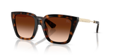 Dark Havana / Brown Gradient (300274)