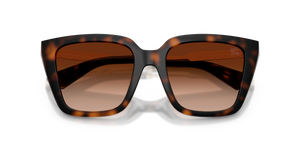 Dark Havana / Brown Gradient (300274)