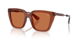 Brown (419573)