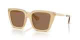 Yellow / Dark Brown (419873)