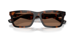 Dark Havana / Dark Brown (300273)