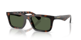 Dark Havana / Dark Green Polarized (30029A)