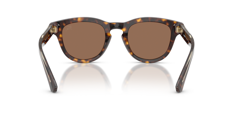 Burberry BE4477 in Dark Havana / Dark Brown (420573) - Temple Detail