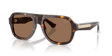 Dark Havana / Dark Brown (420573)