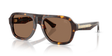 Dark Havana / Dark Brown (420573)