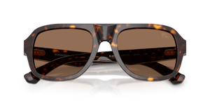 Dark Havana / Dark Brown (420573)