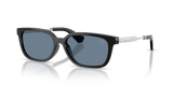 Black / Dark Blue Polarized (30012V)