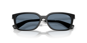 Black / Dark Blue Polarized (30012V)
