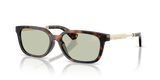 Dark Havana / Light Green (3002/2)