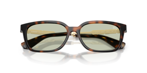 Dark Havana / Light Green (3002/2)