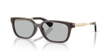 Grey / Light Grey (411287)