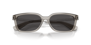 Grey / Dark Grey (419787)