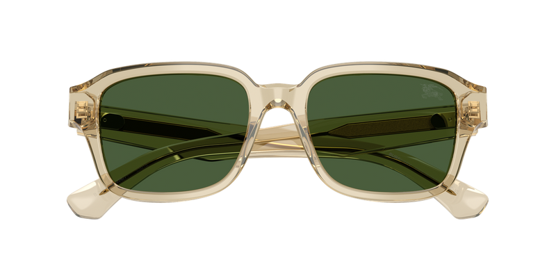Burberry BE4484 in Beige / Dark Green (422671) - Alternate View