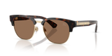 Dark Havana / Dark Brown (420573)