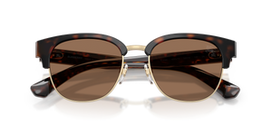 Dark Havana / Dark Brown (420573)