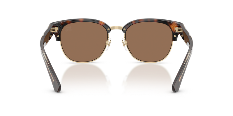 Burberry BE4485 in Dark Havana / Dark Brown (420573) - Temple Detail