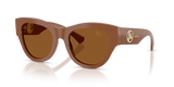 Brown / Dark Brown (422273)