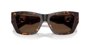 Dark Havana / Dark Brown (300273)