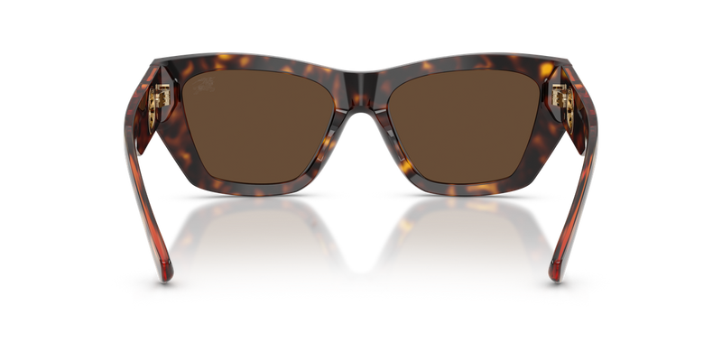 Burberry BE4492 in Dark Havana / Dark Brown (300273) - Alternate View