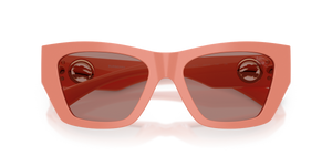 Pink / Light Brown (421973)