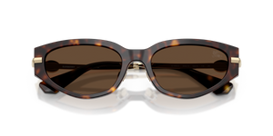 Dark Havana / Dark Brown (300273)