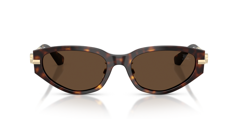 Burberry BE4493D in Dark Havana / Dark Brown (300273) - Alternate View