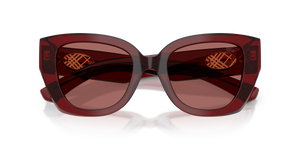 Bordeaux / Dark Violet (419269)