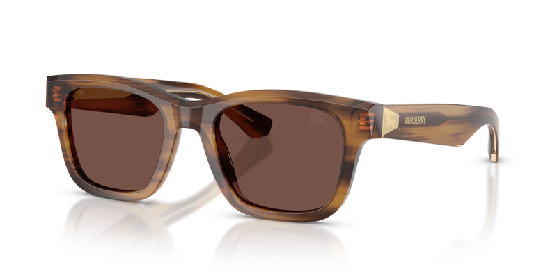 Burberry BE4504F in Striped Brown - Alternate View