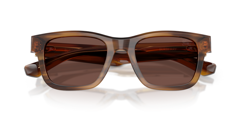 Burberry BE4504F in Striped Brown - Alternate View