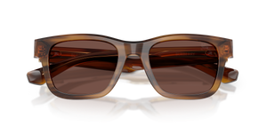 Striped Brown / Black Chocolate (425373)