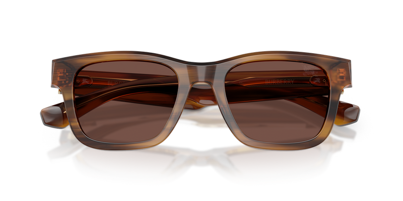 Burberry BE4504 in Striped Brown - Alternate View