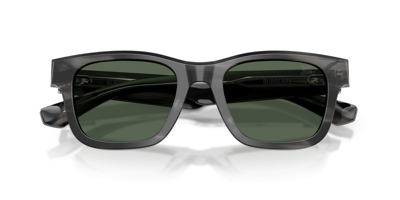 Burberry BE4504 in Striped Green - Alternate View