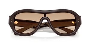 Brown / Brown Gradient (42748D)