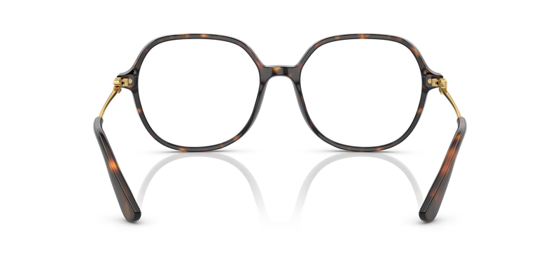 Dolce & Gabbana DG3364 in Havana / Demo Lens (502) - Alternate View