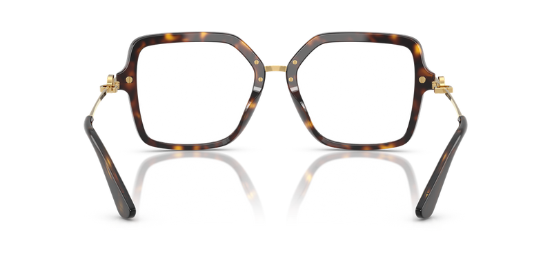 Dolce & Gabbana DG3396 in Havana / Demo Lens (502) - Alternate View