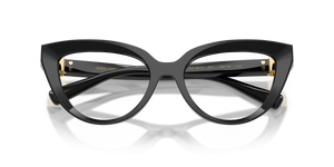 Black / Demo Lens (501)