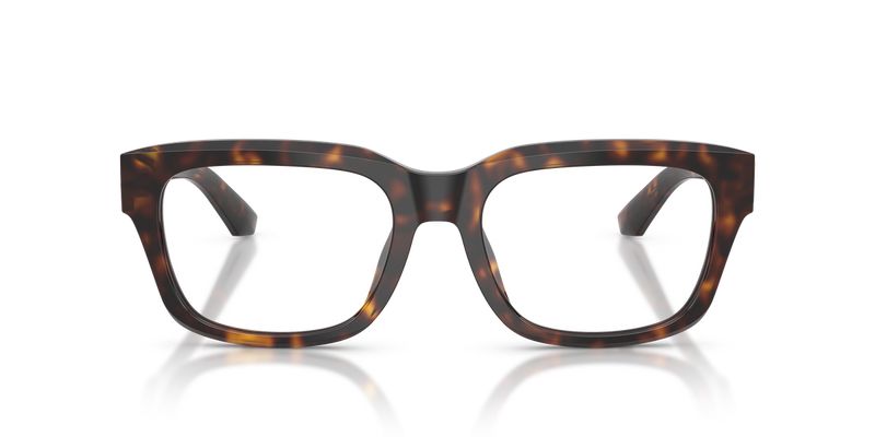 Dolce & Gabbana DG3416 in Havana / Demo Lens (502) - Alternate View