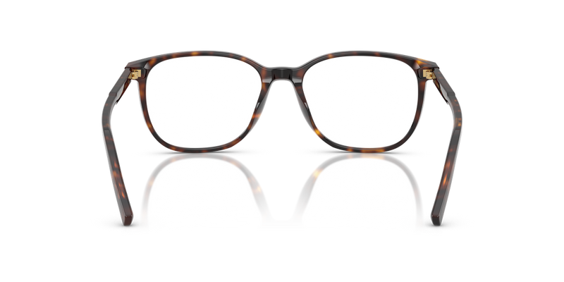 Dolce & Gabbana DG3426 in Havana / Demo Lens (502) - Alternate View