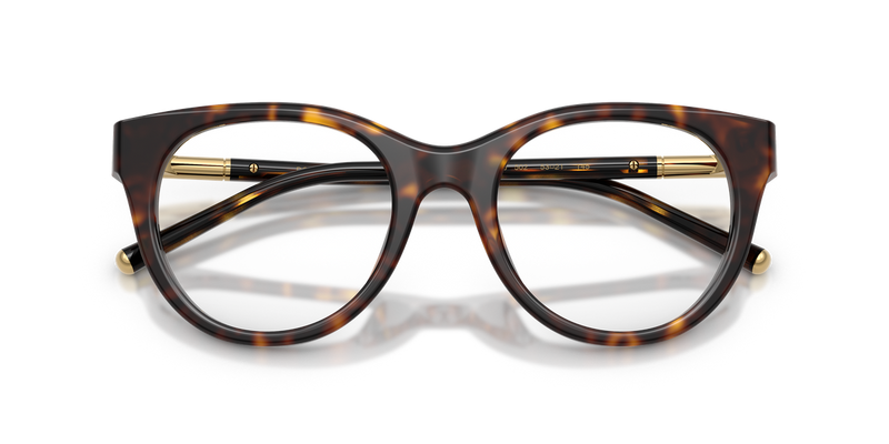 Dolce & Gabbana DG3433 in Havana / Demo Lens (502) - Alternate View