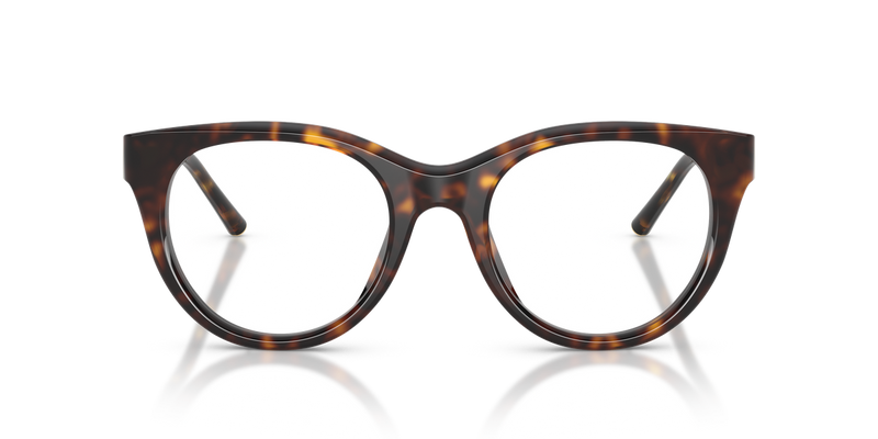 Dolce & Gabbana DG3433 in Havana / Demo Lens (502) - Alternate View