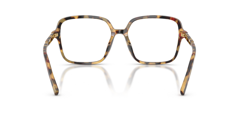 Dolce & Gabbana DG3442 in Yellow Havana / Demo Lens (512) - Alternate View