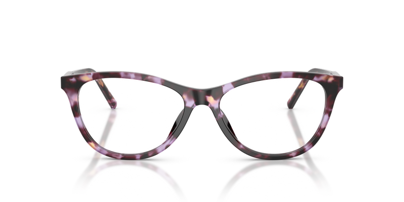 Dolce & Gabbana DG3443 in Violet Havana / Demo Lens (3477) - Alternate View