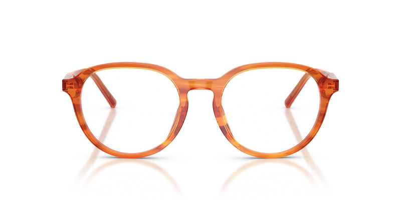 Dolce & Gabbana DG3444 in Camel On Striped Ginger / Demo Lens (3483) - Alternate View