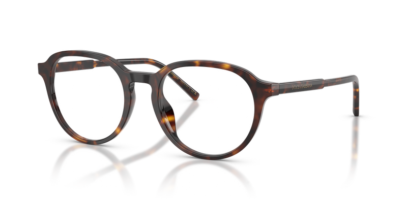 Dolce & Gabbana DG3444 in Havana / Demo Lens (502) - Alternate View