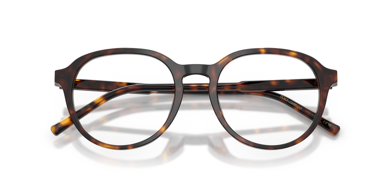 Dolce & Gabbana DG3444 in Havana / Demo Lens (502) - Alternate View